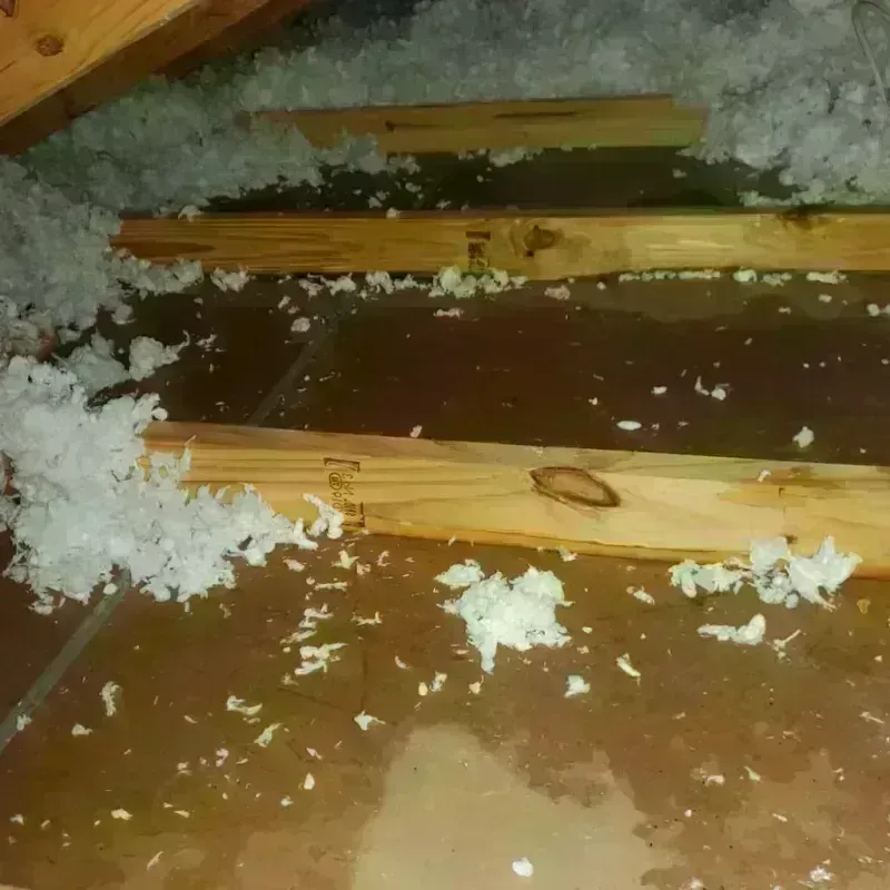 Attic Water Damage in Barry, IL