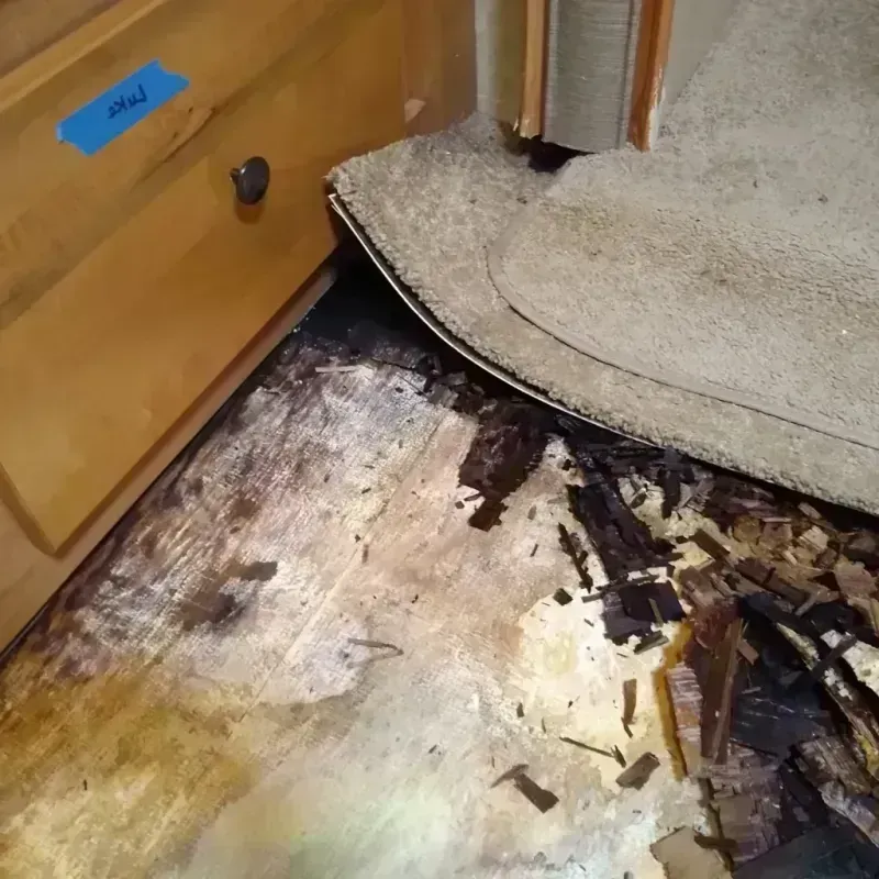 Wood Floor Water Damage in Barry, IL